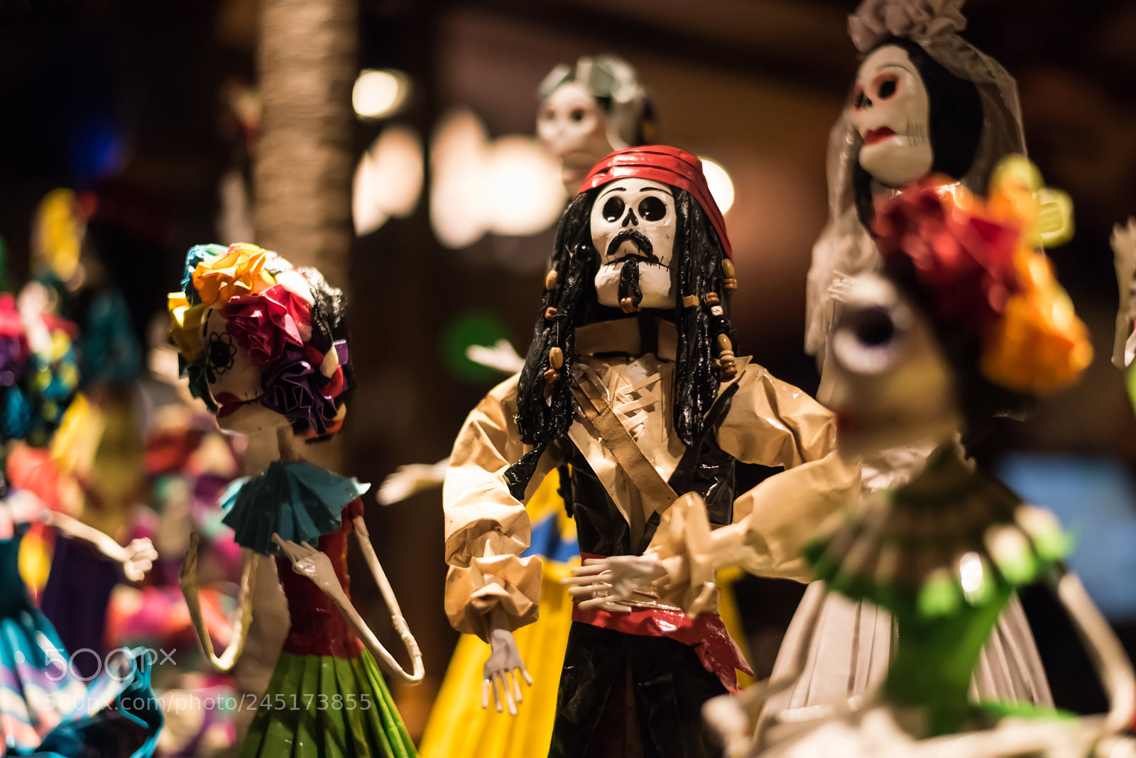 Nikon D810 sample photo. The captain photography
