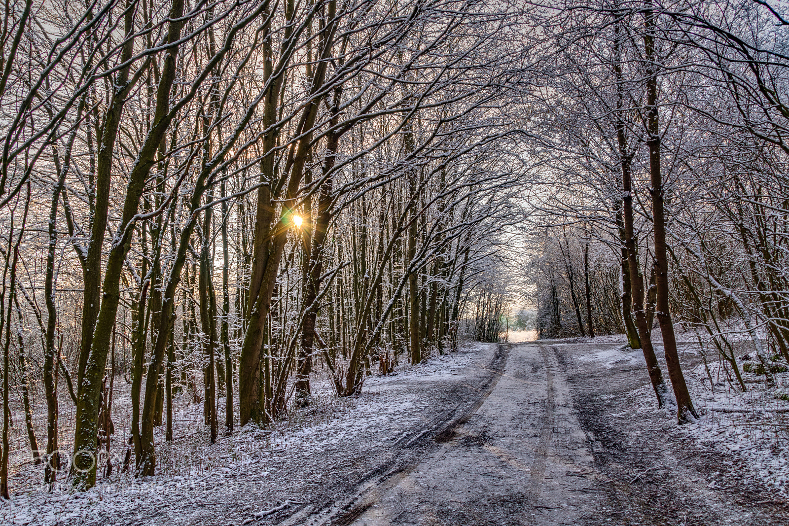 Sony SLT-A68 sample photo. Winter has arrived photography