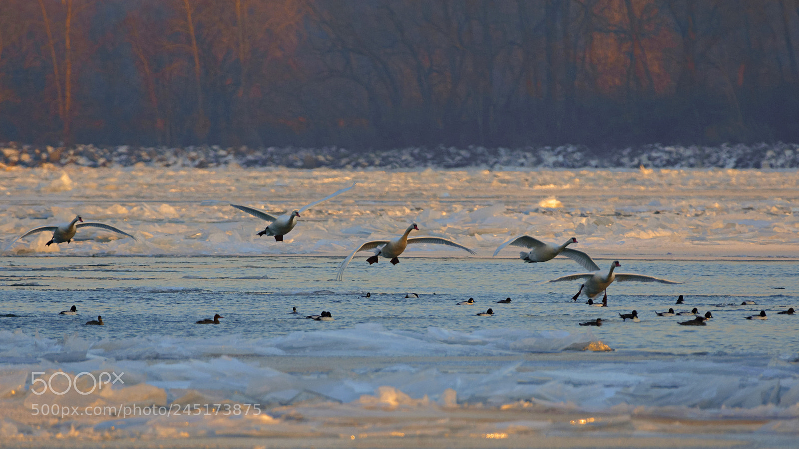 Nikon D7200 sample photo. In last light of photography