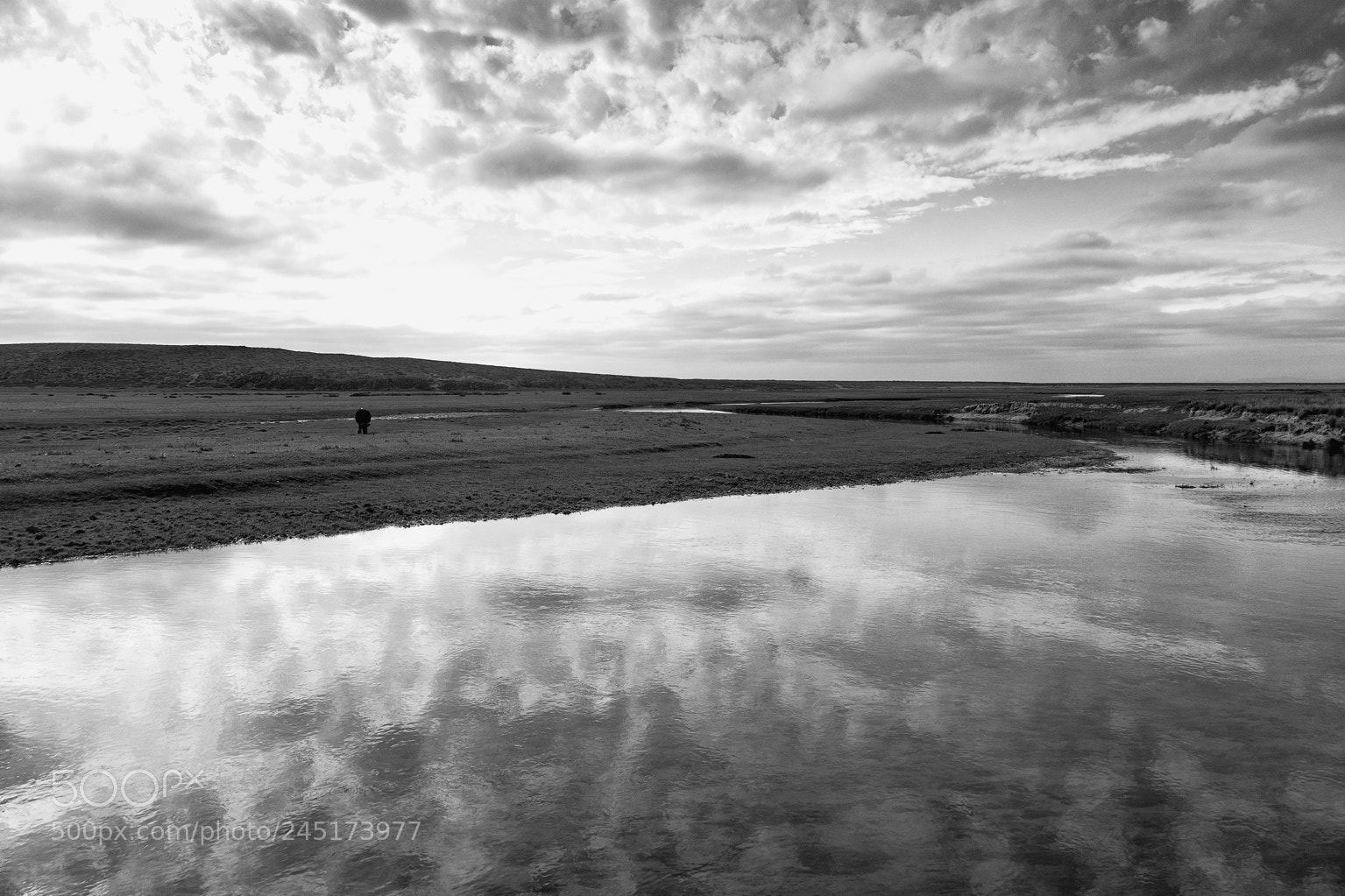 Nikon D7100 sample photo. Clouds in the river photography