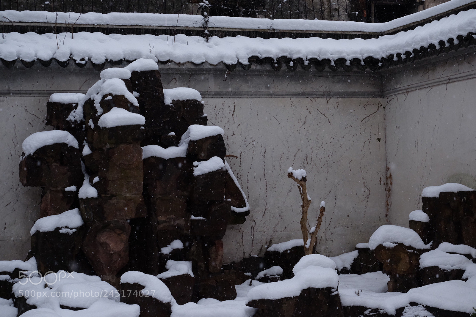 Fujifilm X-T10 sample photo. Untitled photography