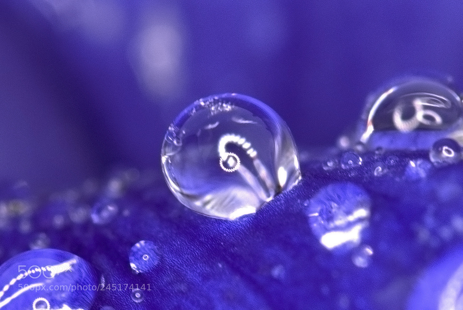 Nikon D850 sample photo. Blue photography