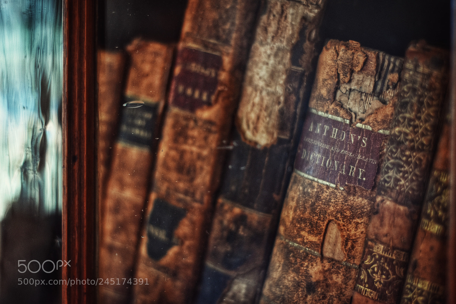 Nikon D5500 sample photo. Vintage books.. photography