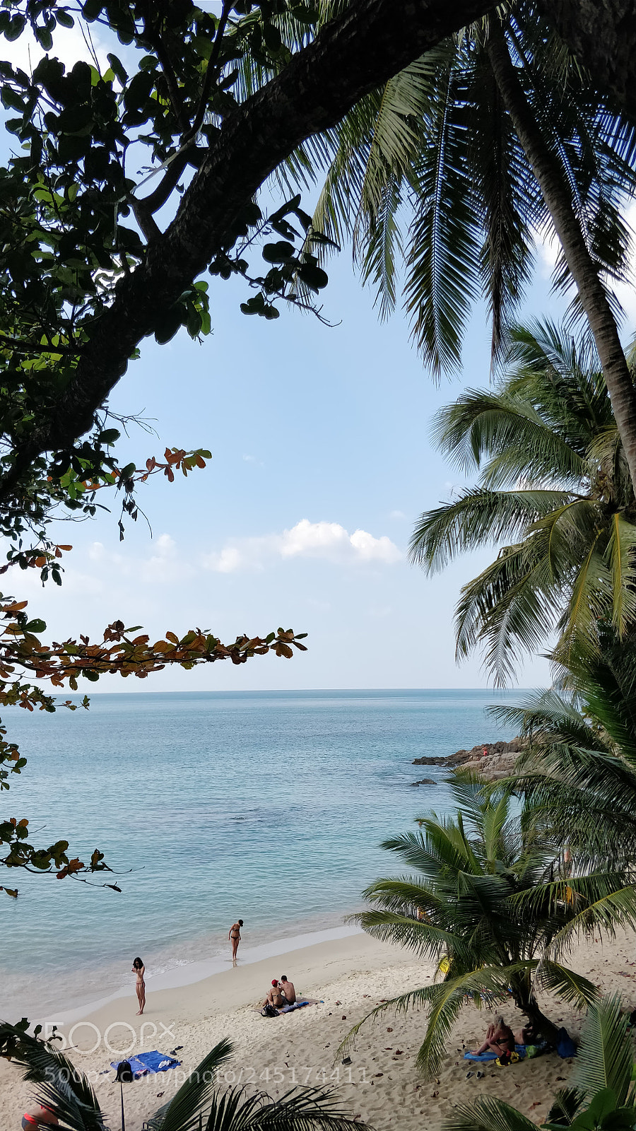 OnePlus 5 sample photo. Phuket#thailand.?? photography