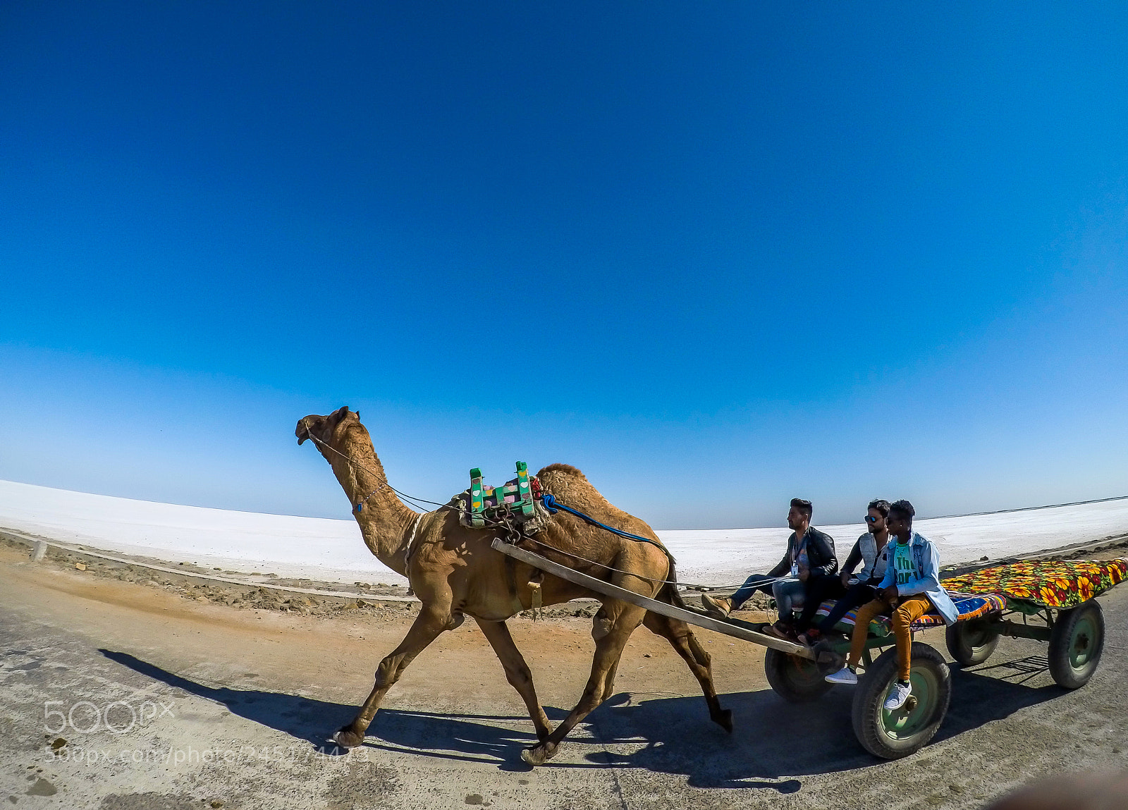 GoPro Hero5 Black sample photo. Camel ride photography