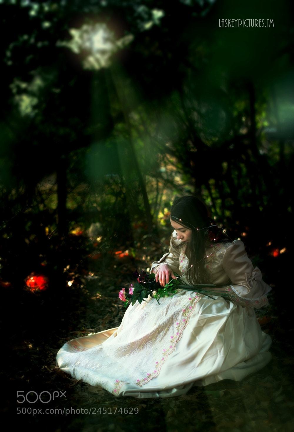 Nikon D850 sample photo. Forest of fairlytale photography