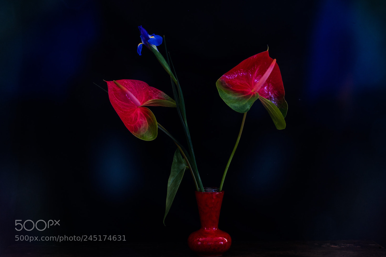 Sony a7R sample photo. Red, green and blue photography