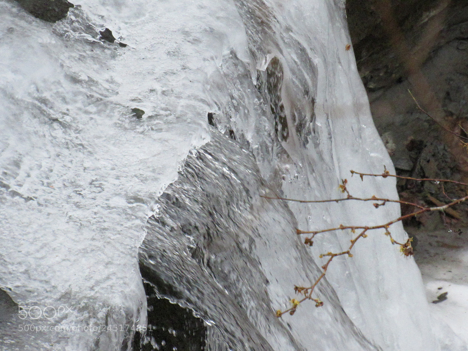 Canon PowerShot SX530 HS sample photo. Breaking free photography