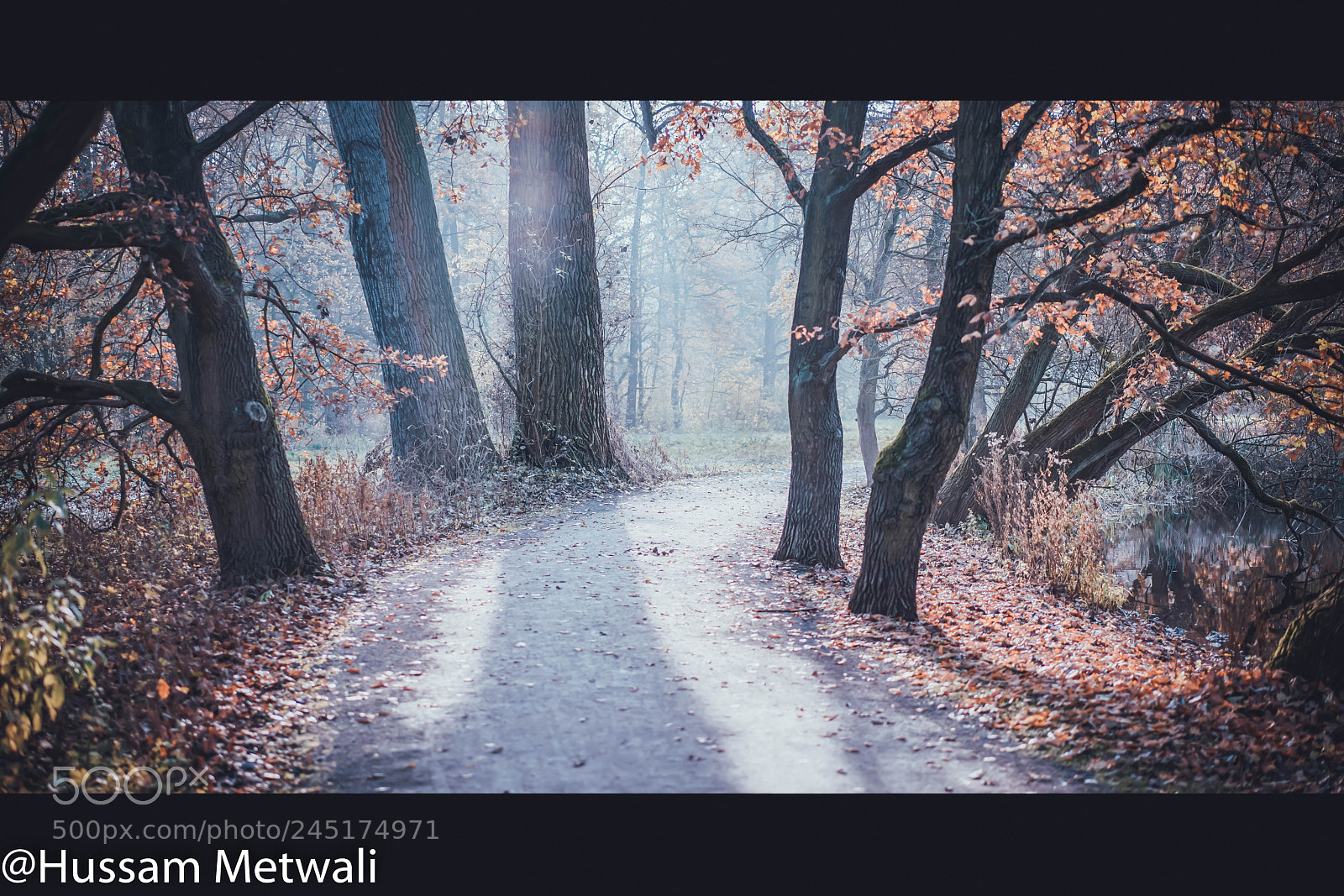 Sony a7R II sample photo. :) photography