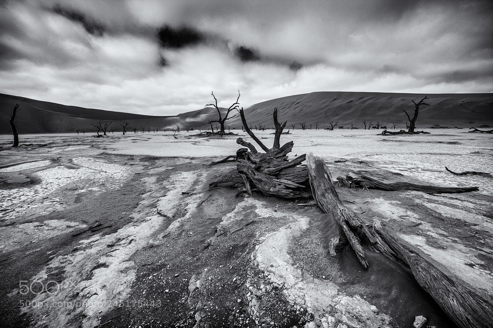 Nikon D7200 sample photo. Deadvlei (monochrome) photography
