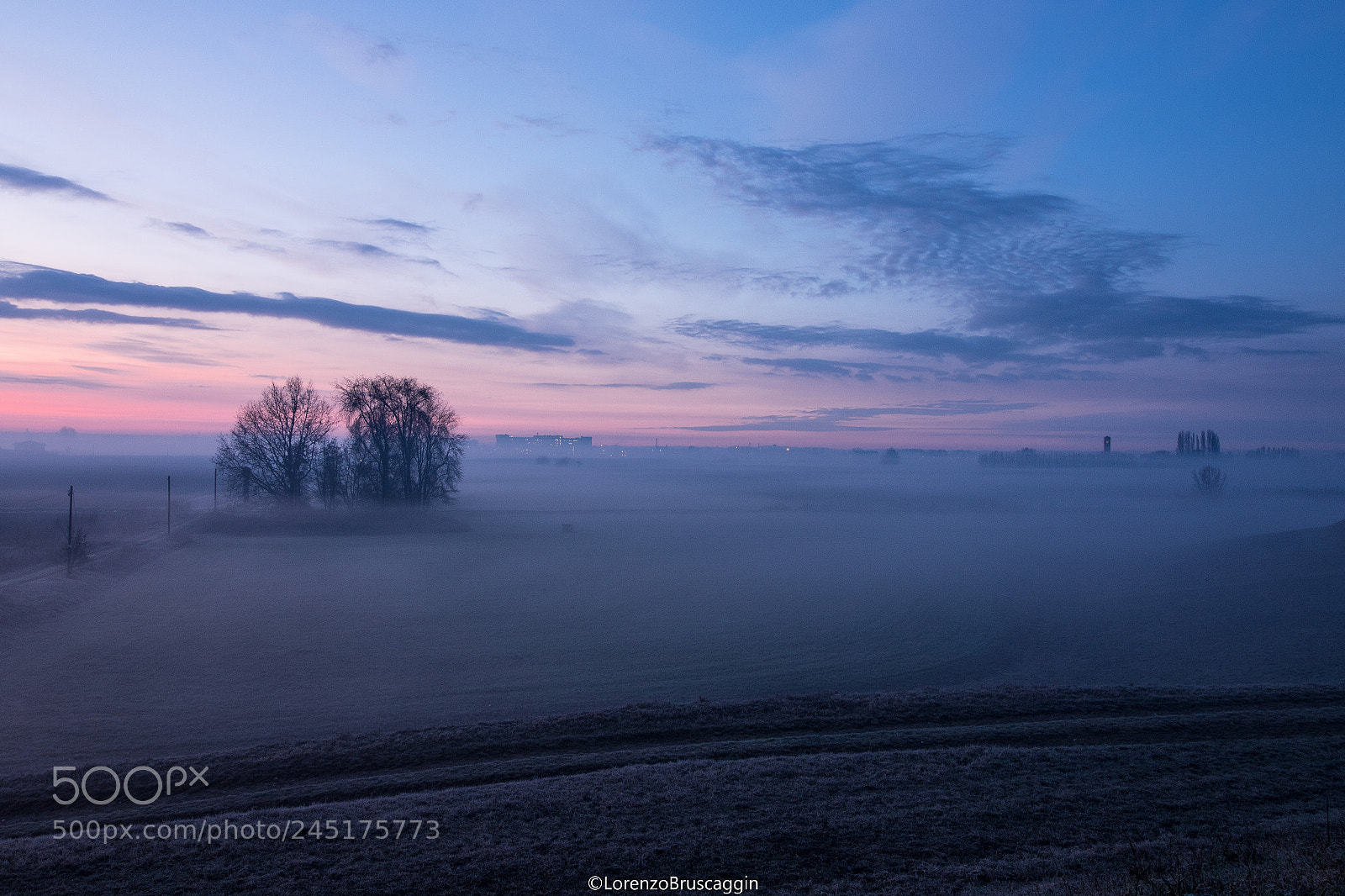 Canon EOS 7D Mark II sample photo. Fog in padana valley photography