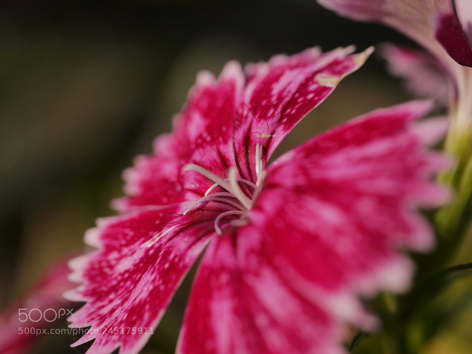 Panasonic Lumix DMC-G6 sample photo. Throwback photography