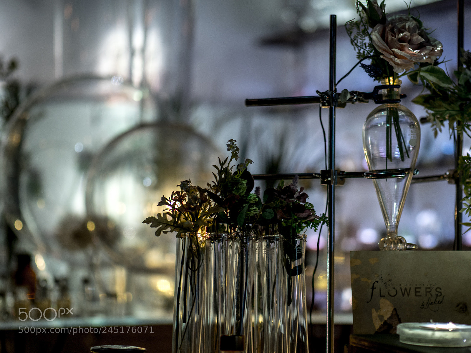 Olympus OM-D E-M1 Mark II sample photo. Olympus digital camera photography