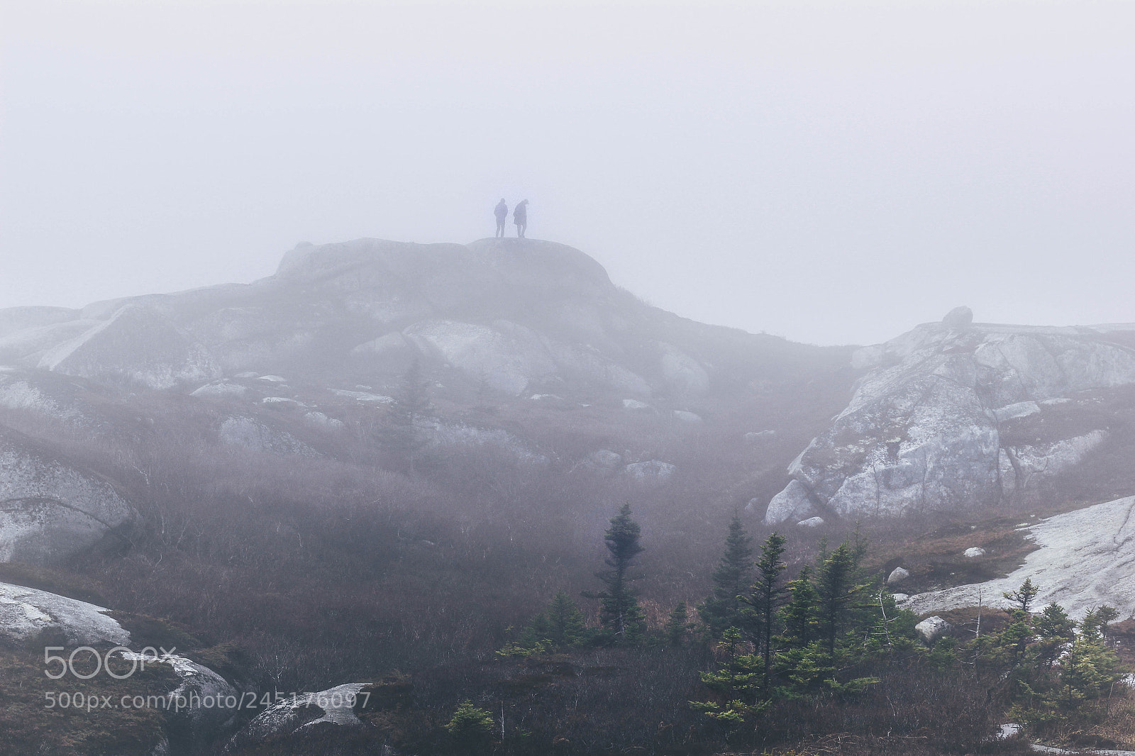 Canon EOS 60D sample photo. Untitled photography