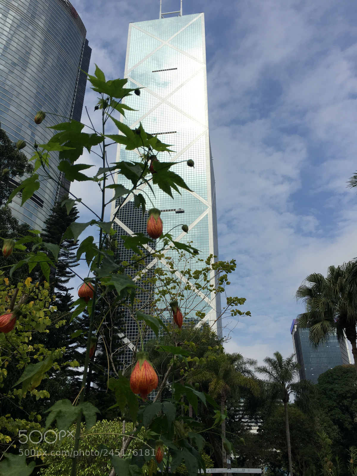 Apple iPhone 6s Plus sample photo. 襯托 photography