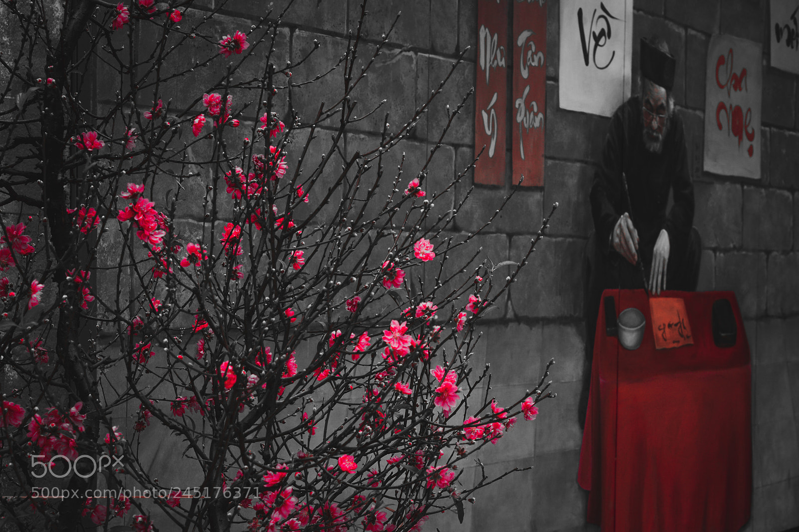 Nikon D7100 sample photo. Hanoi street in tet photography