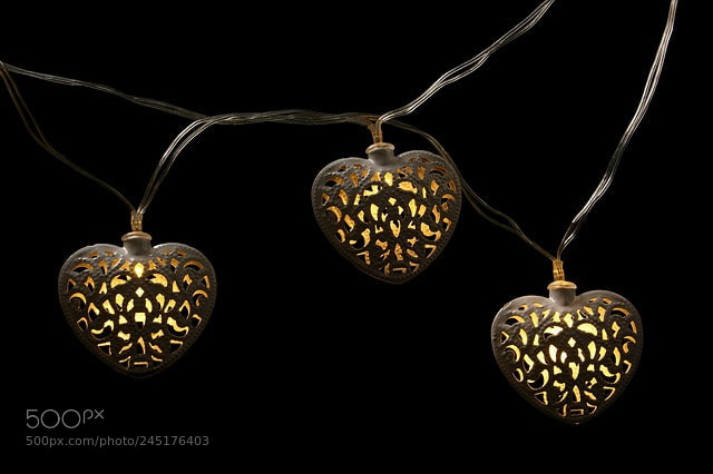 Sony ILCA-77M2 sample photo. Valentines day photography