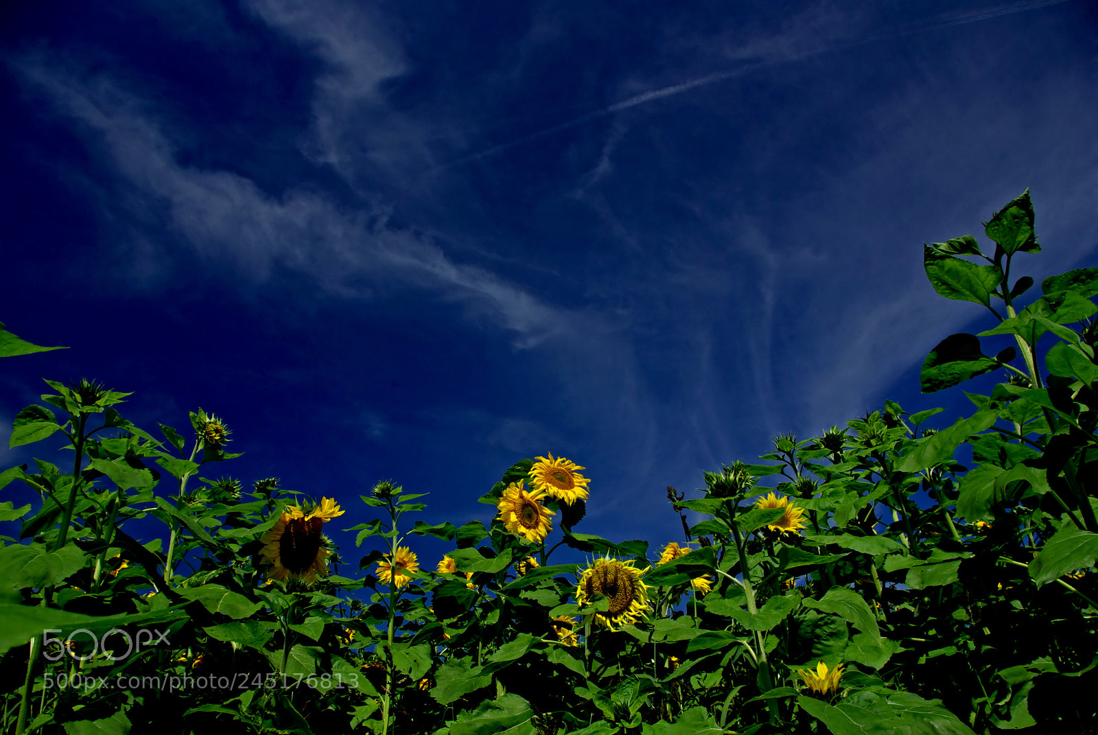 Pentax smc DA 18-55mm F3.5-5.6 AL sample photo. Foto in austria photography