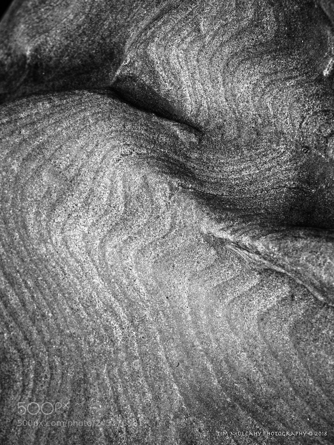 Olympus OM-D E-M1 Mark II sample photo. A fingerprint of time photography
