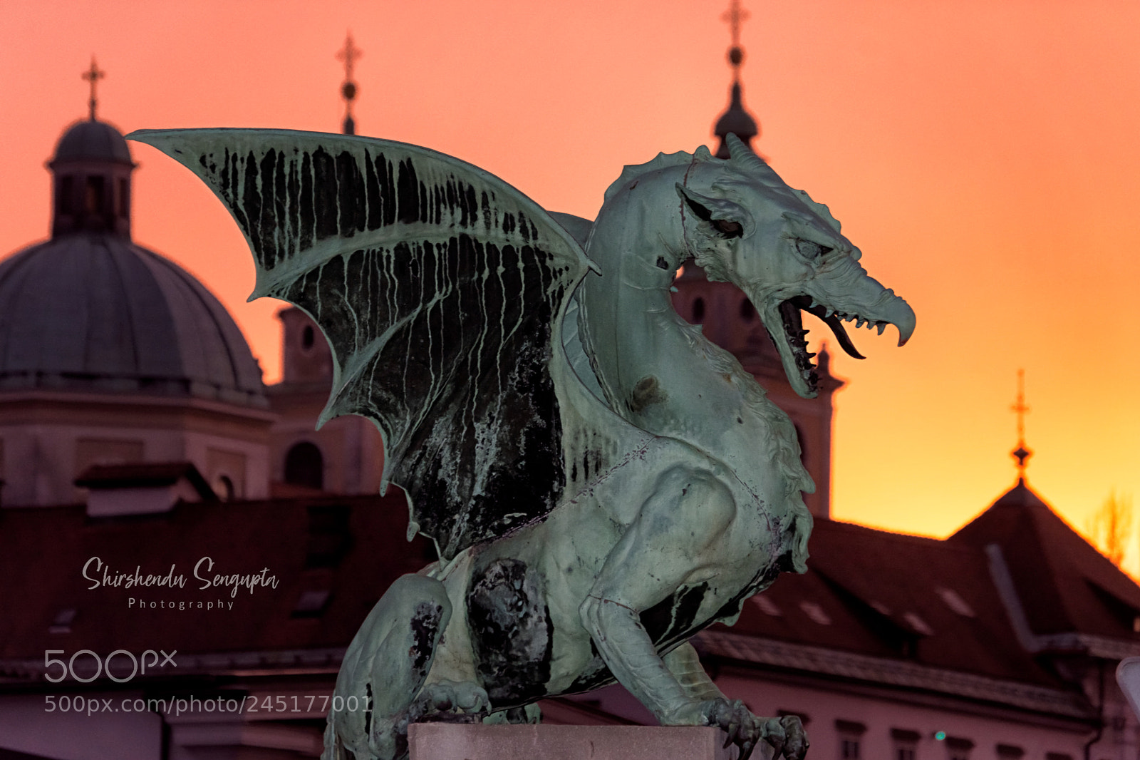 Nikon D7200 sample photo. Untitled photography