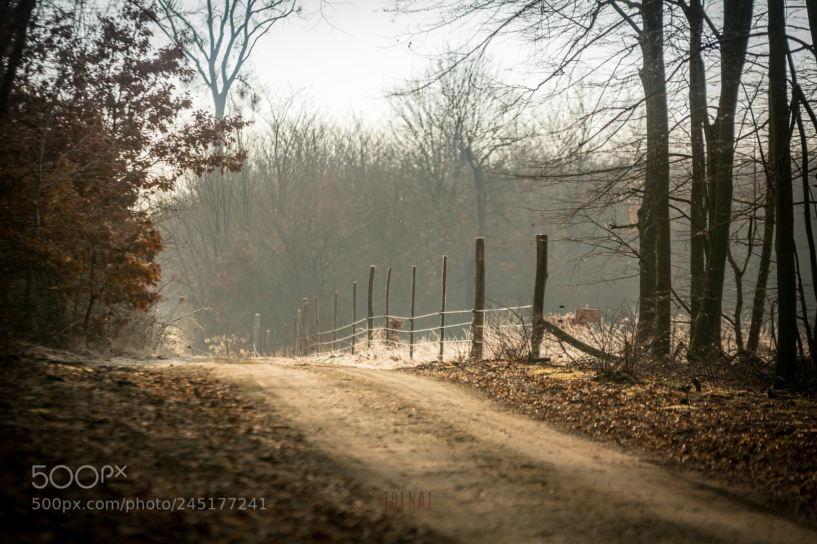 Nikon D7100 sample photo. Lights and shadows photography
