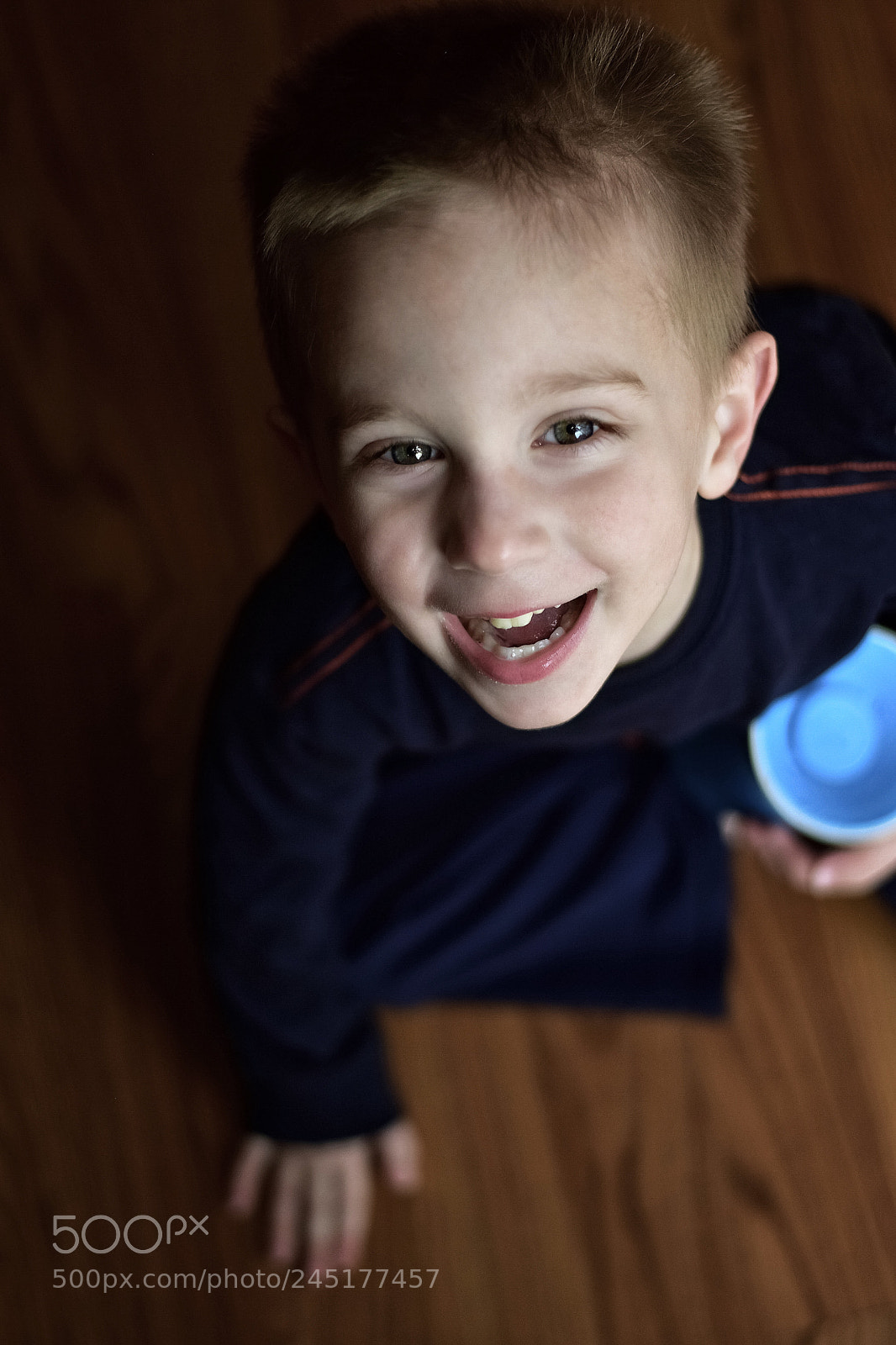 Nikon D5600 sample photo. Untitled photography