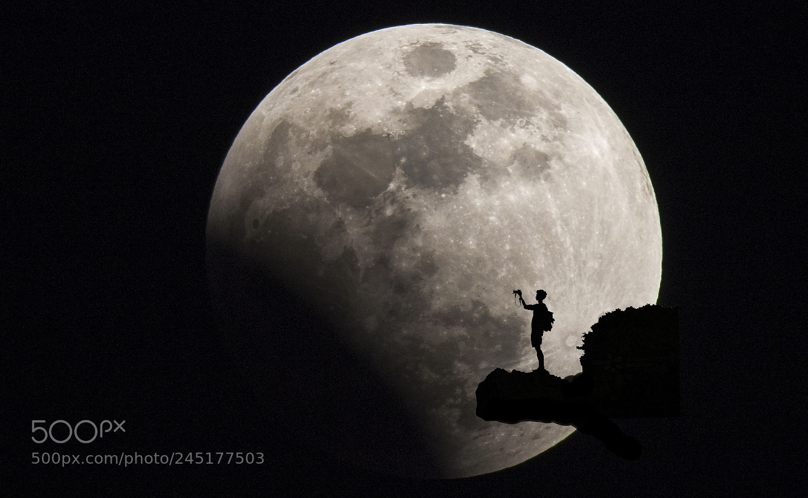 Nikon D810 sample photo. Moonstruck photography