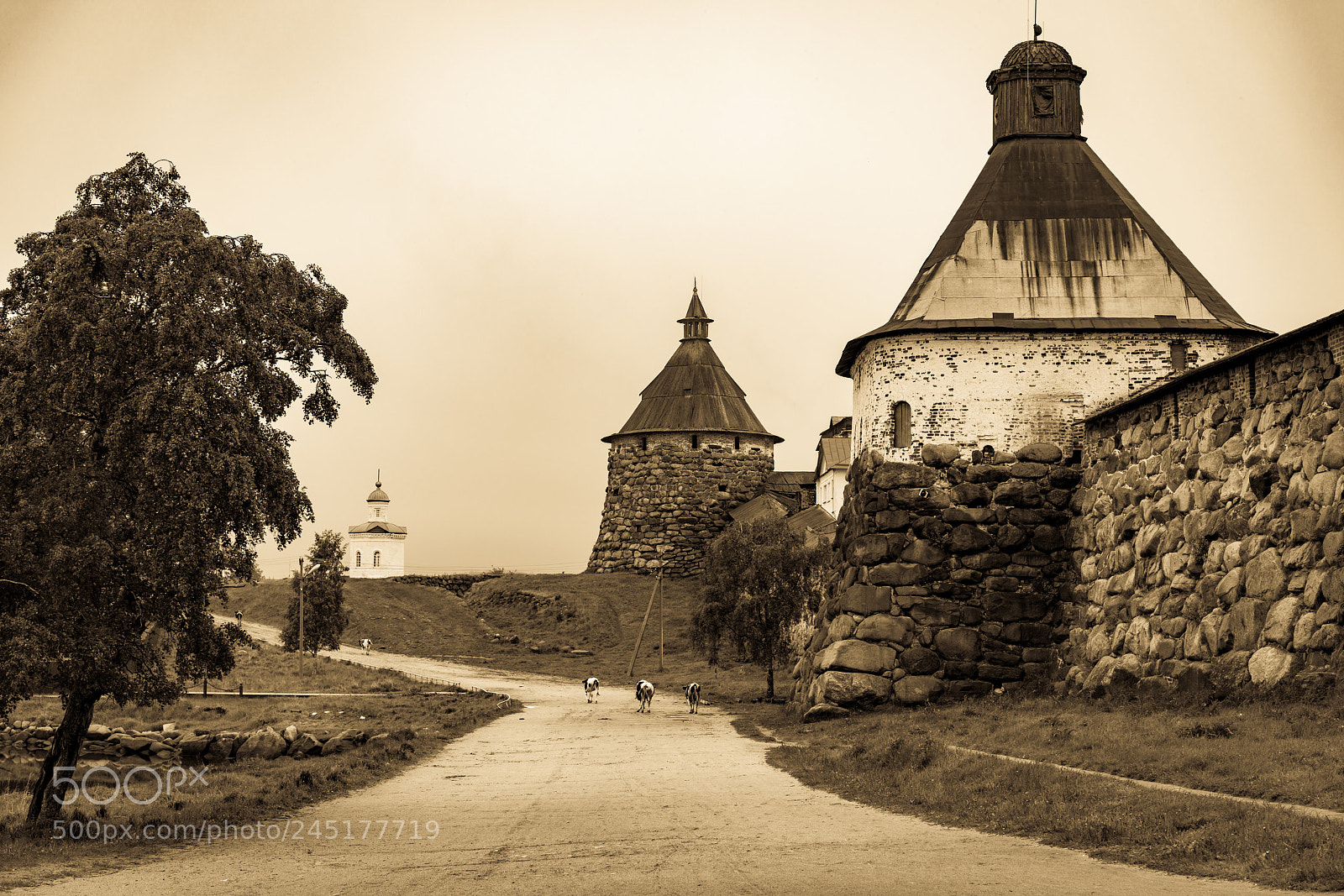Sony a7R II sample photo. Solovetsky monastery. photography