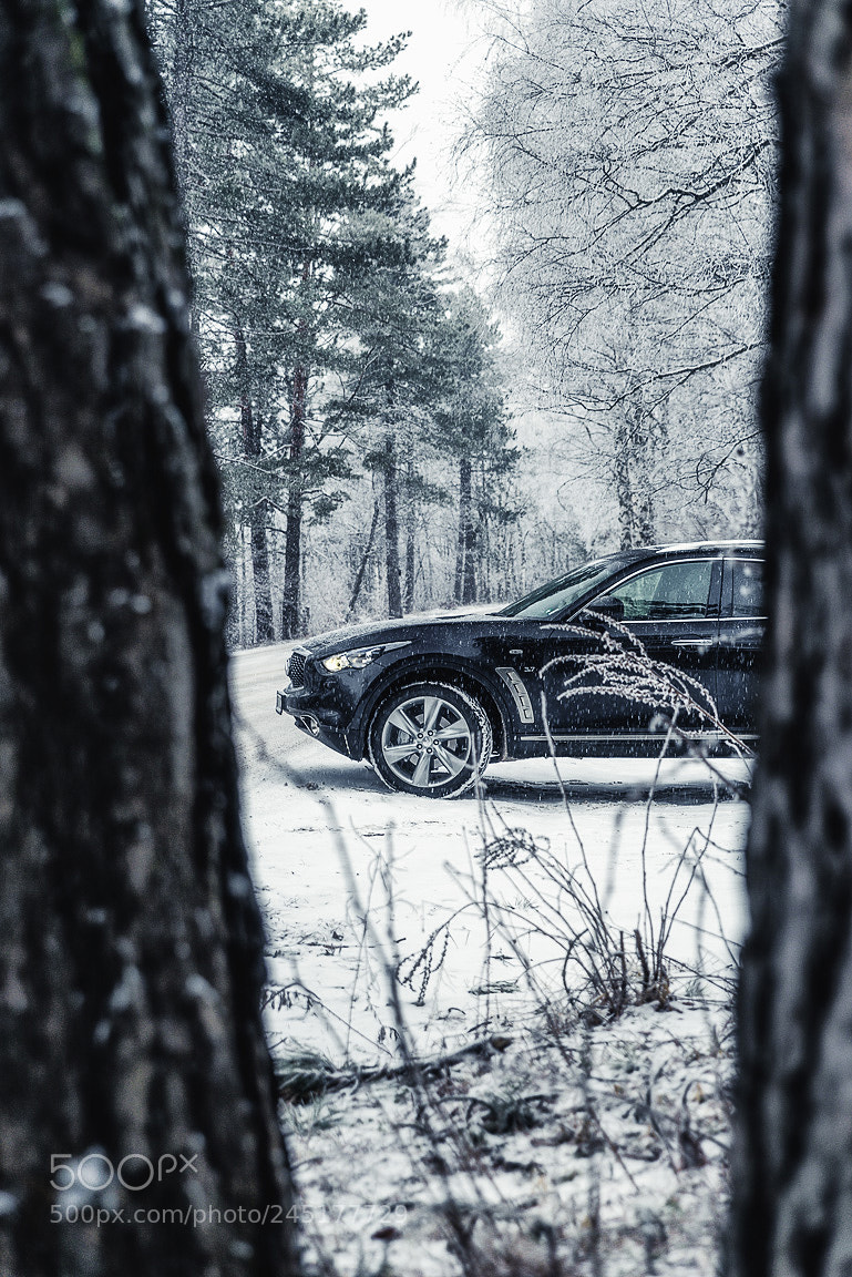 Nikon D800 sample photo. #preso_petrov photography