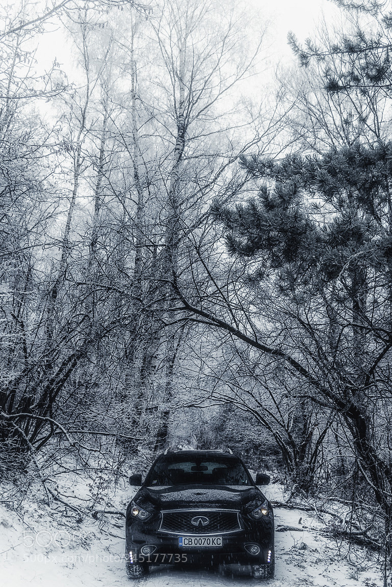 Nikon D800 sample photo. #preso_petrov photography