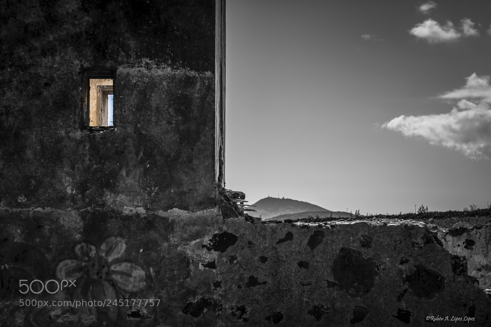 Nikon D7100 sample photo. Ventana al color photography