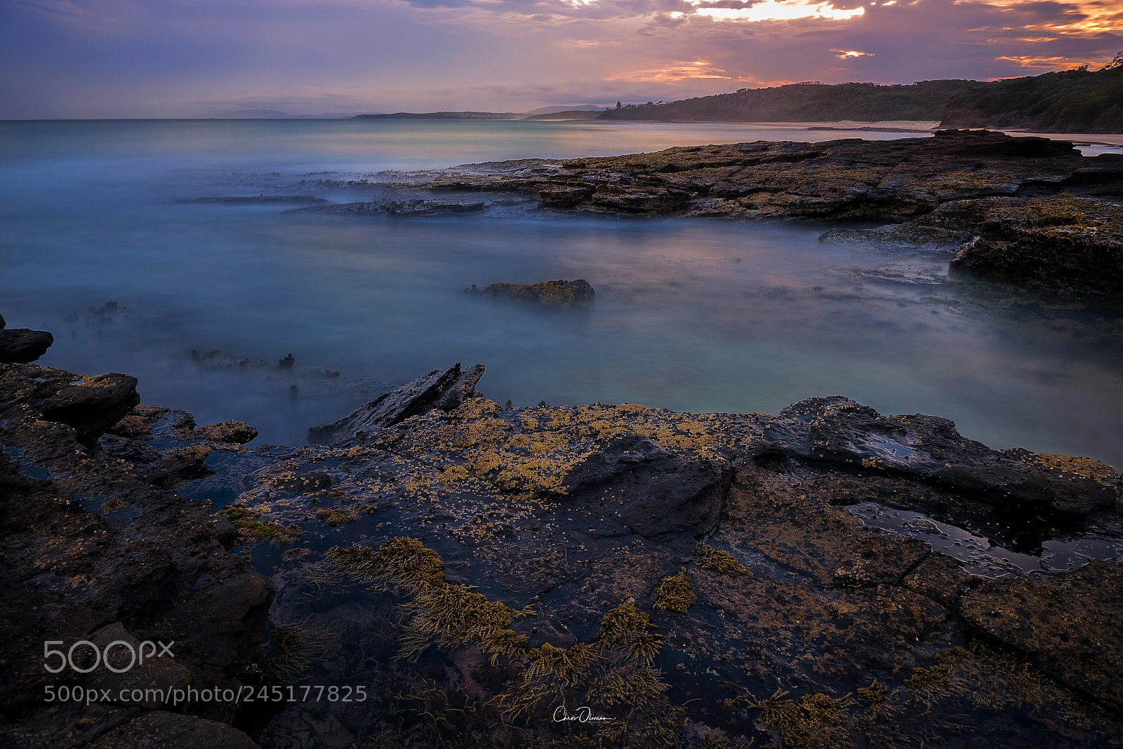 Nikon D810 sample photo. Ulladulla nsw photography