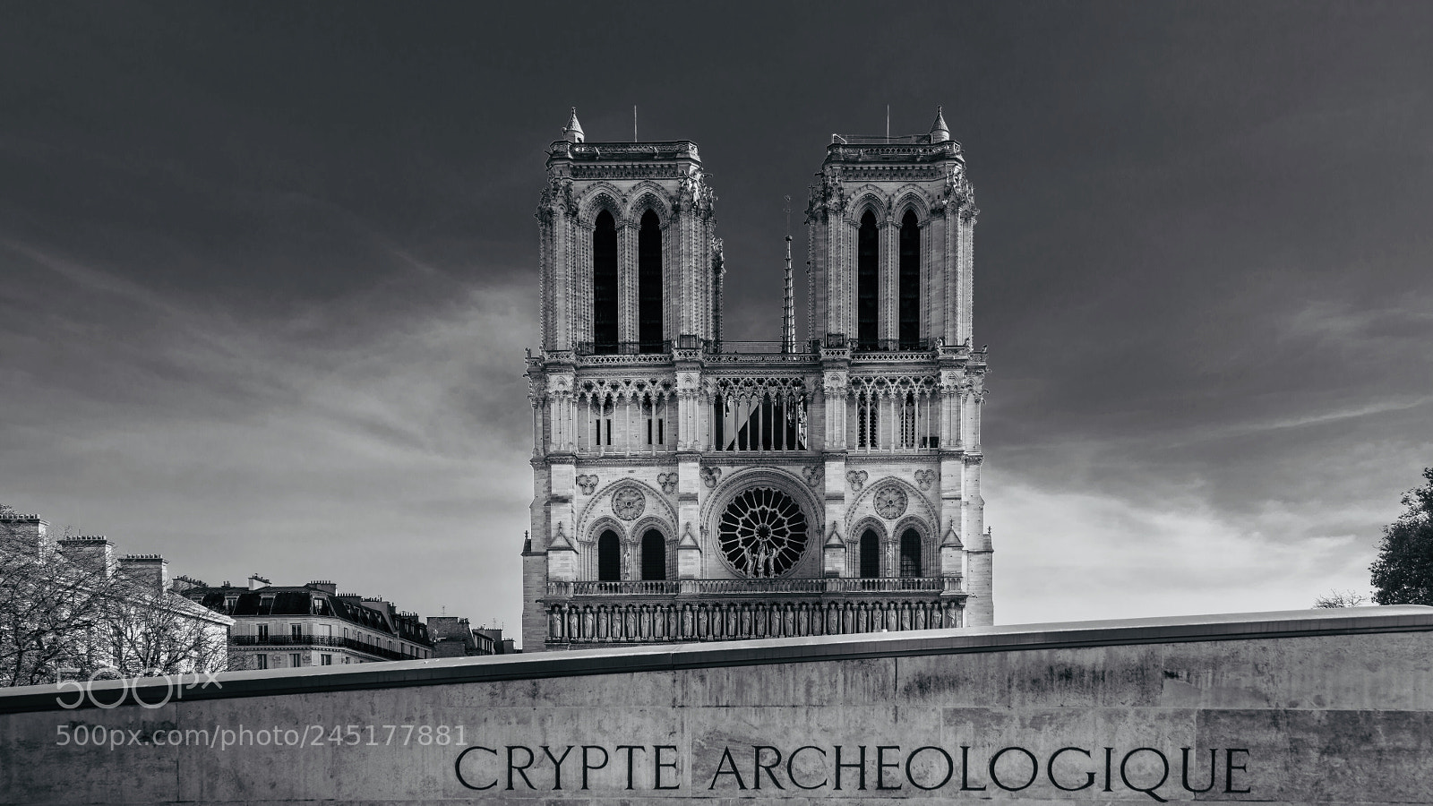 Sony a7R II sample photo. Notre dame photography