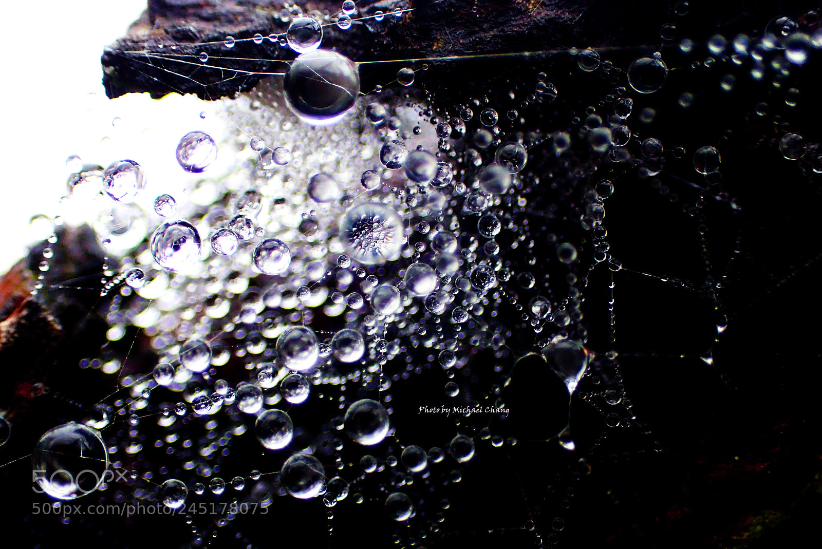 Olympus TG-4 sample photo. 水滴の宇宙 photography