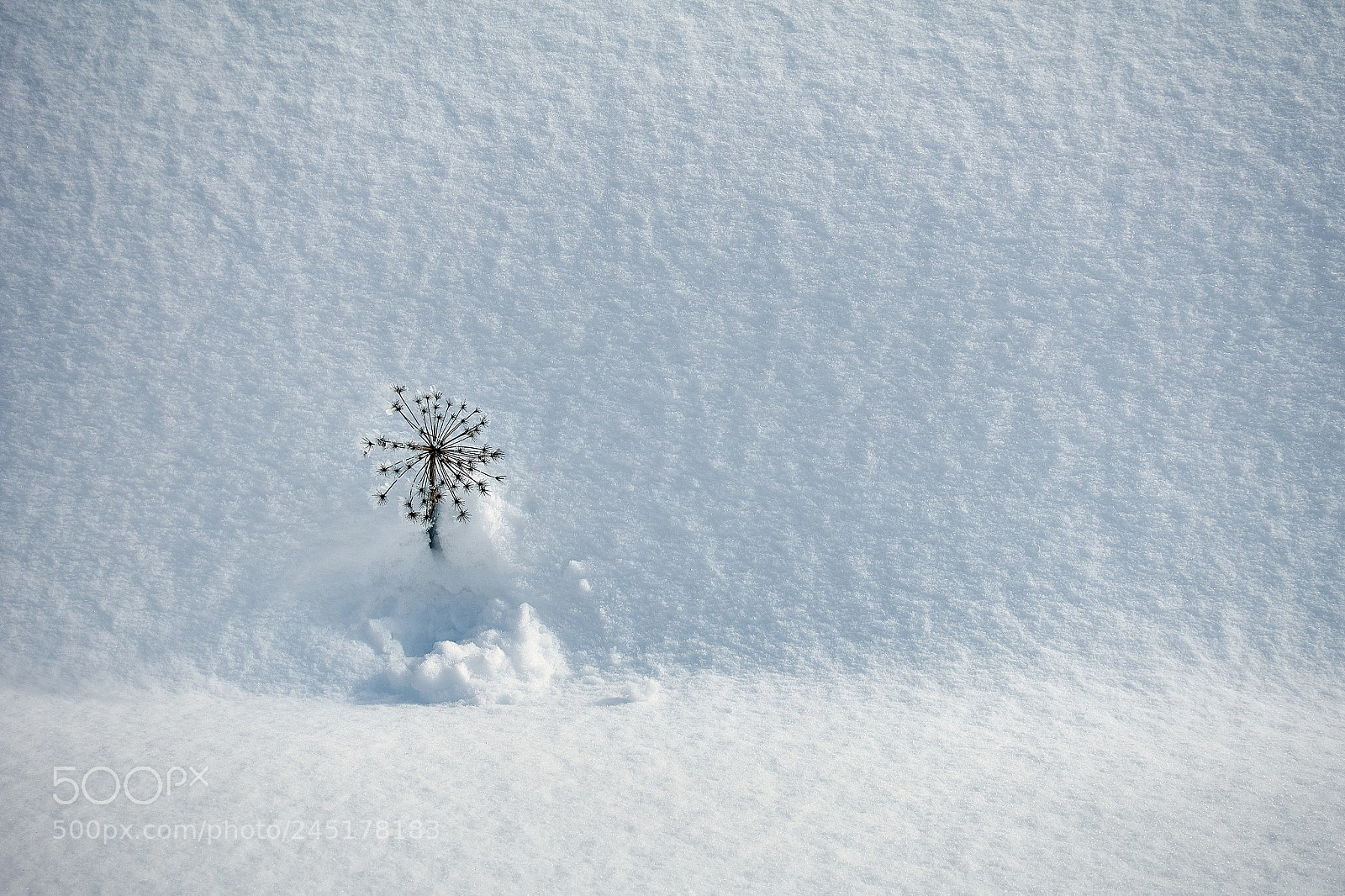 Sony DSC-RX100M5 sample photo. Snow wall photography
