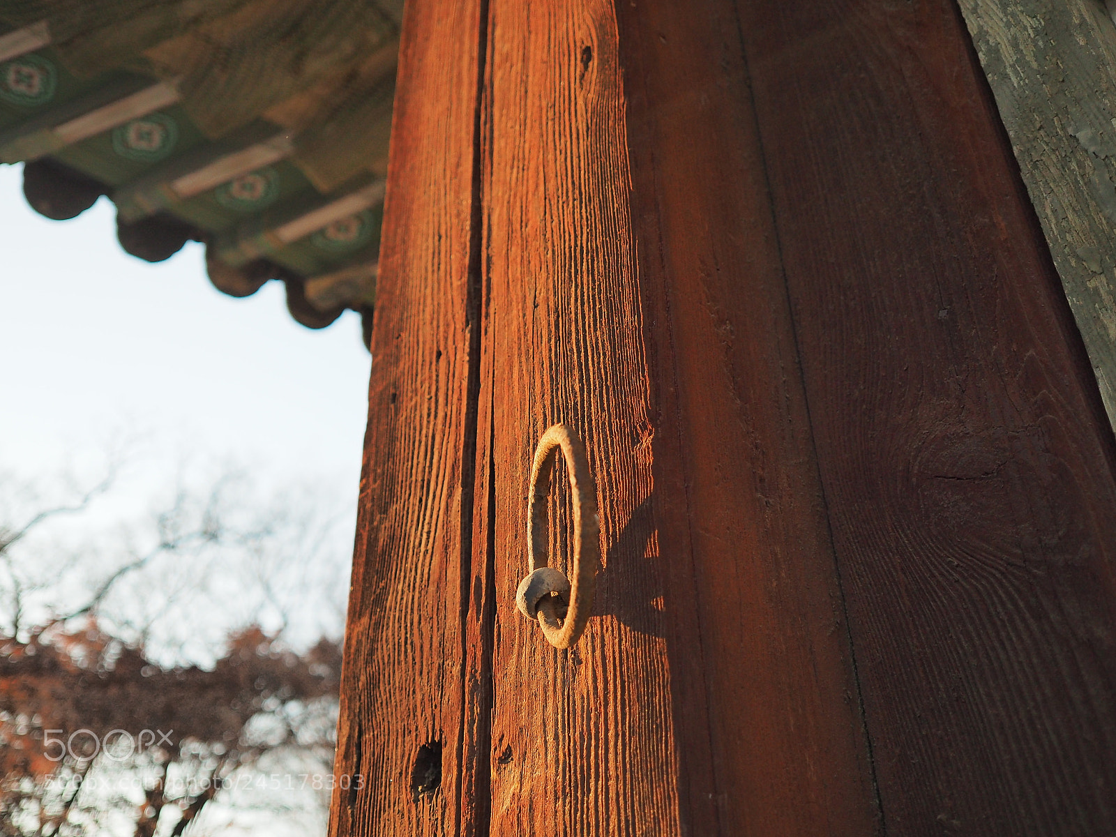 Olympus OM-D E-M5 II sample photo. Untitled photography