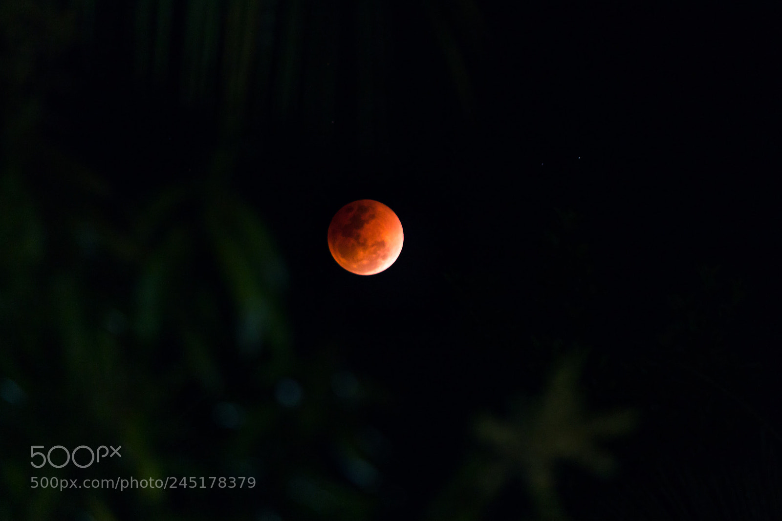 Canon EOS 1300D (EOS Rebel T6 / EOS Kiss X80) sample photo. Super blue blood moon photography