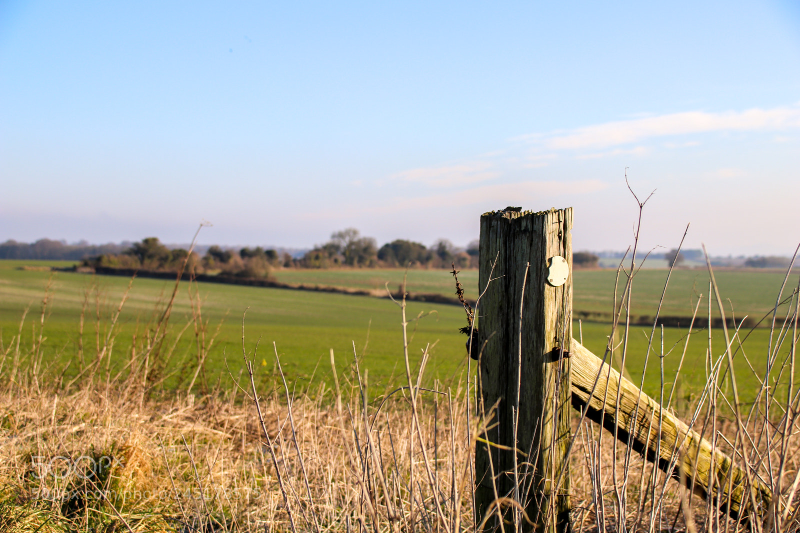 Canon EOS 77D (EOS 9000D / EOS 770D) sample photo. Old signpost in field photography