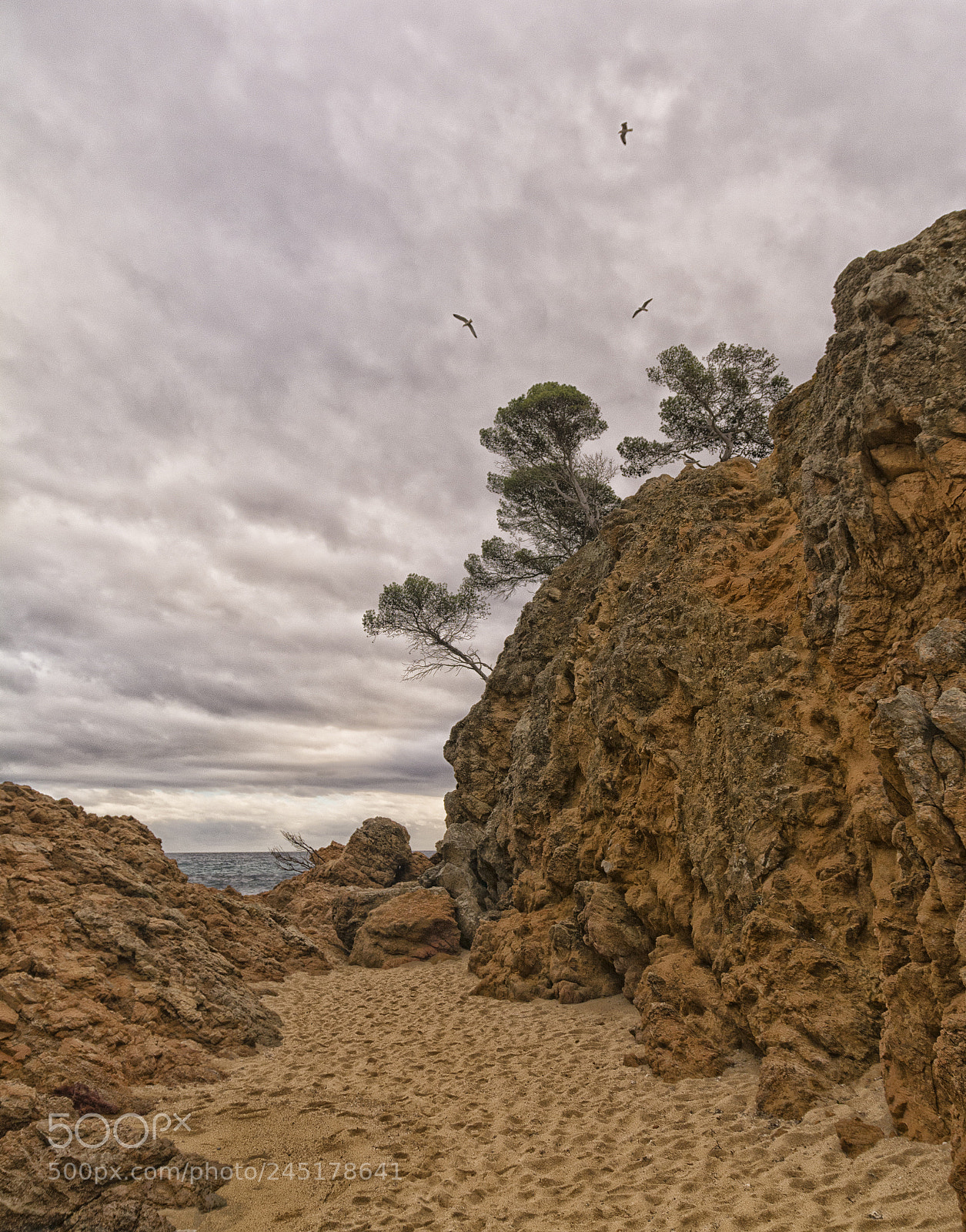 Nikon D7100 sample photo. Sand photography