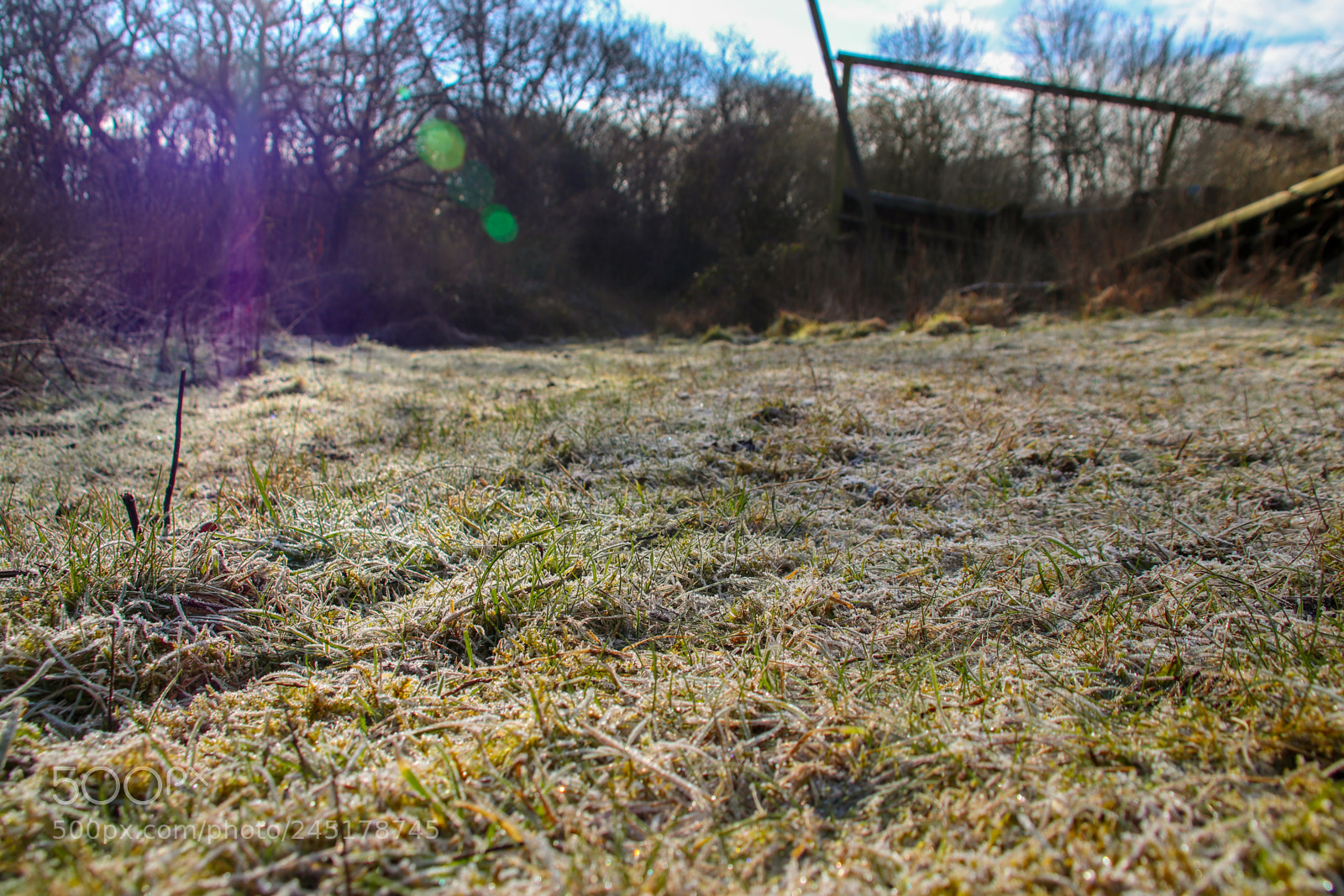 Canon EOS 77D (EOS 9000D / EOS 770D) sample photo. Frosted grass photography
