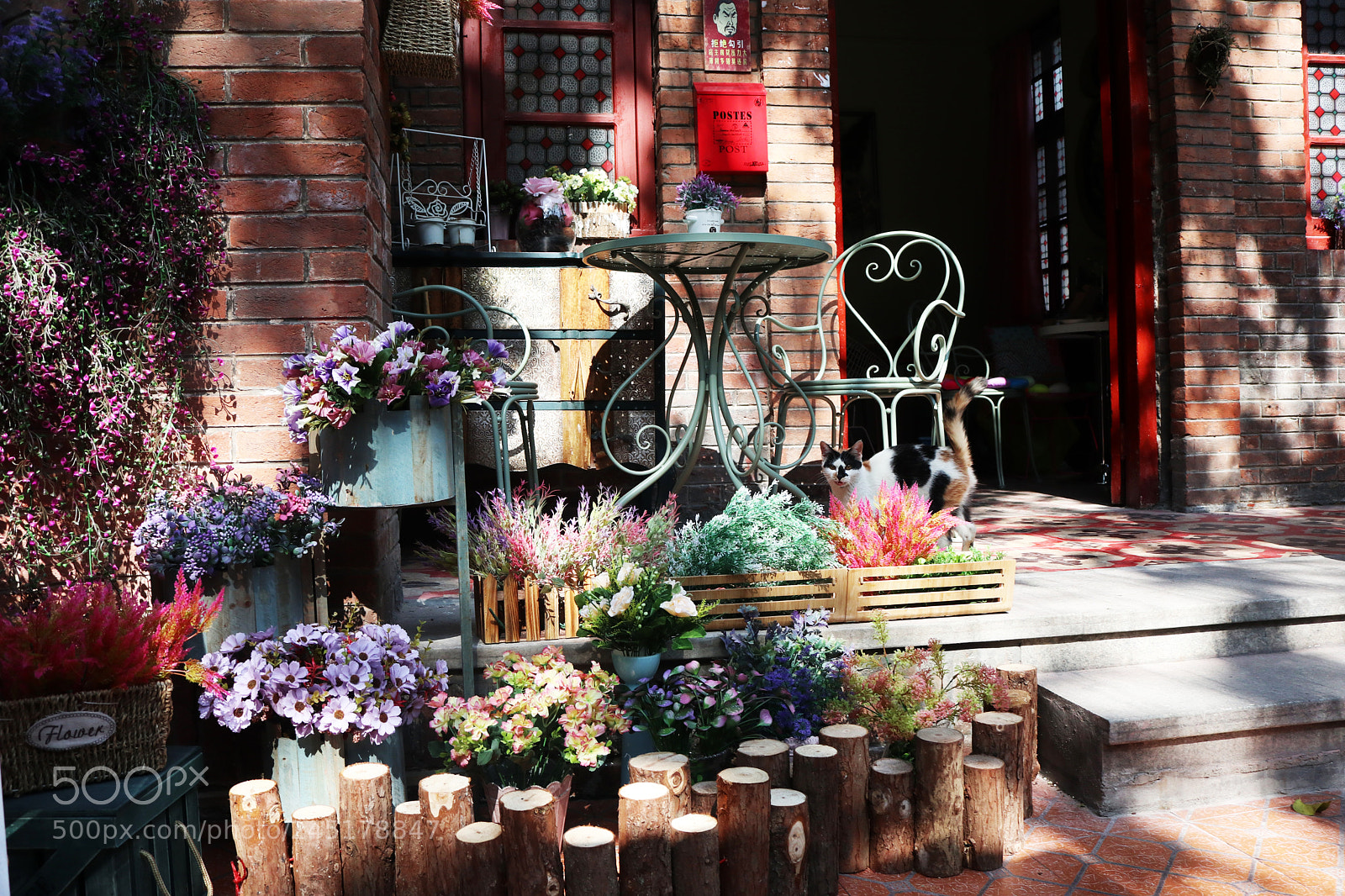 Canon EOS M100 sample photo. Img photography