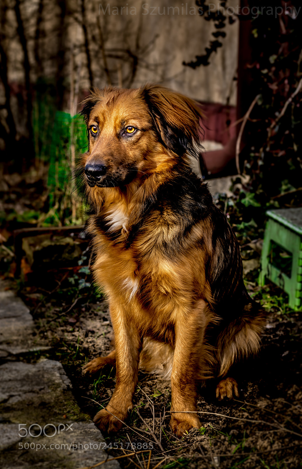 Nikon D7100 sample photo. Mr r photography