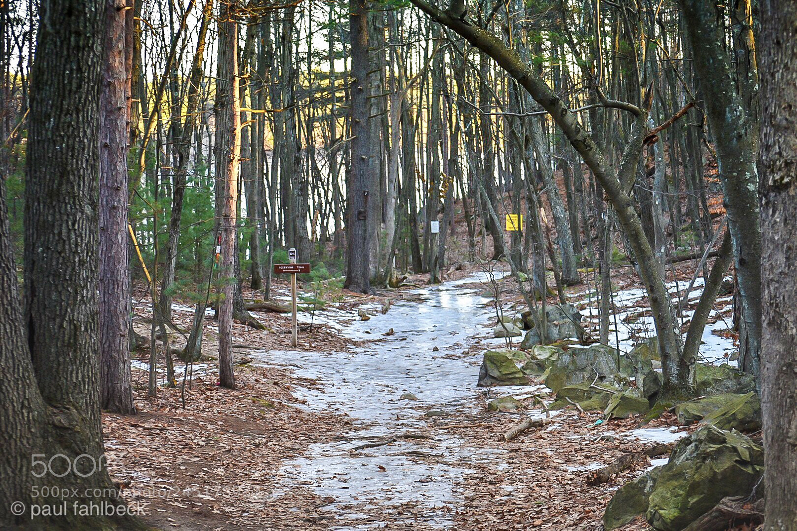 Nikon D7200 sample photo. At the bottom photography