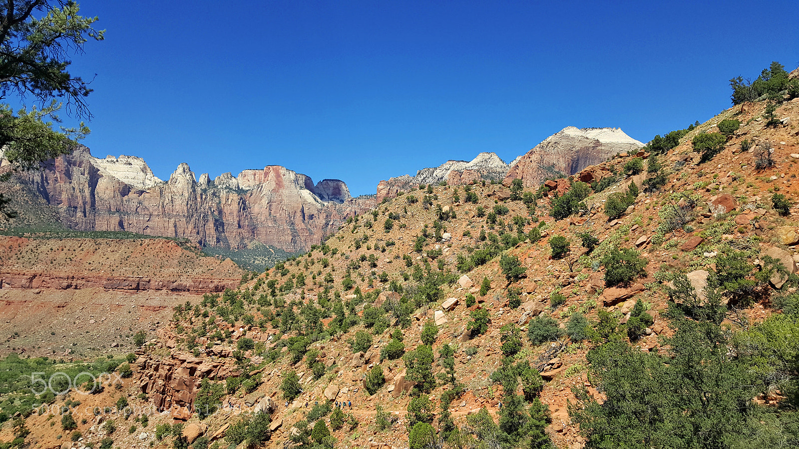 Samsung GALAXY S6 edge sample photo. Zion photography