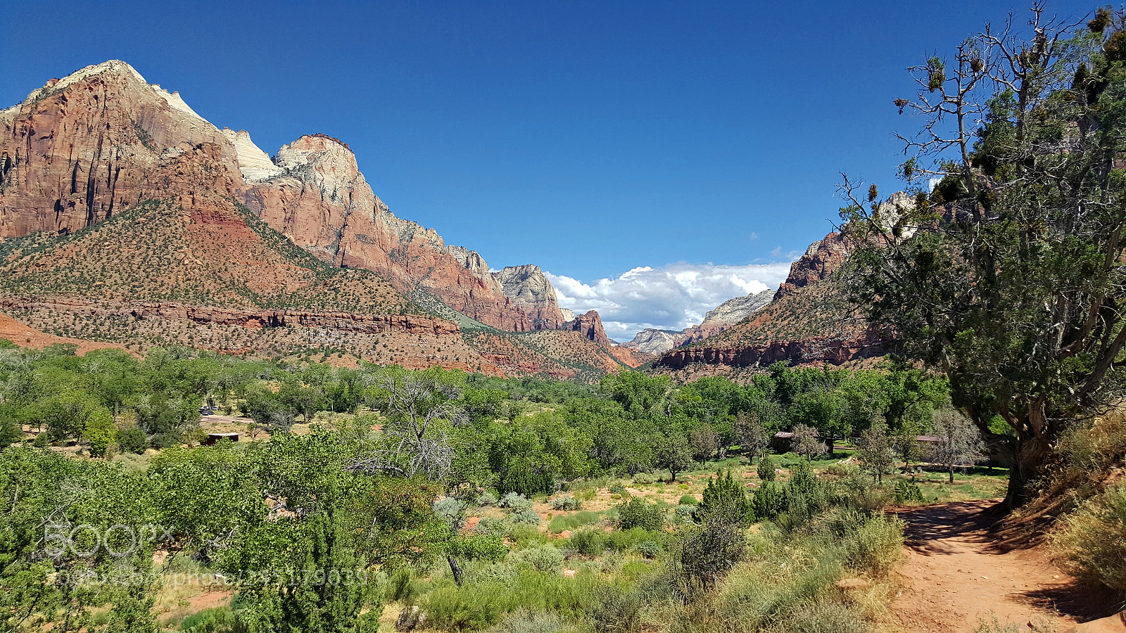Samsung GALAXY S6 edge sample photo. Zion photography