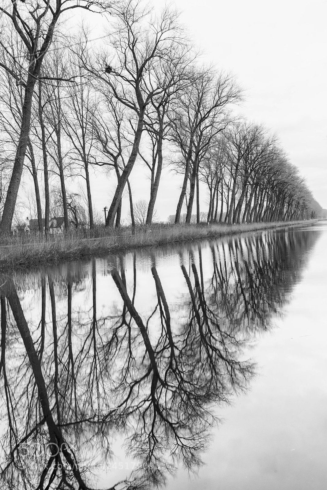 Nikon D610 sample photo. Cold damme photography