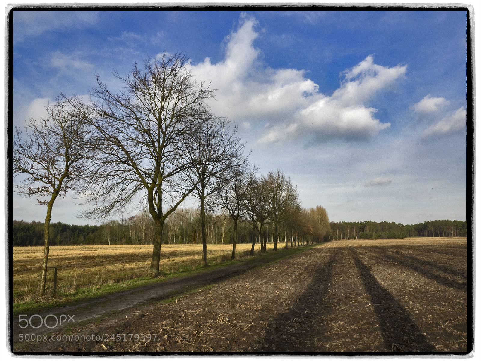 Olympus OM-D E-M1 sample photo. The countryside photography