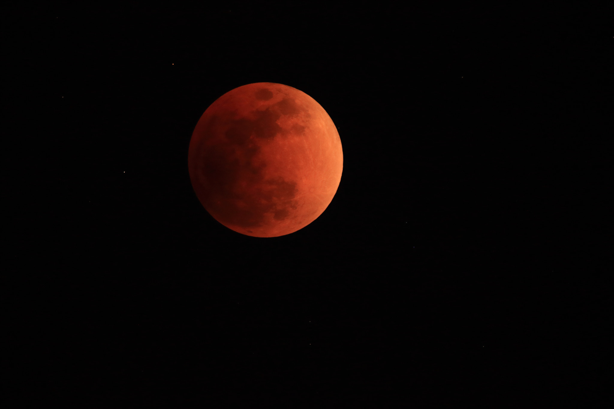 Sigma 150-600mm F5-6.3 DG OS HSM | C sample photo. Super blue blood moon photography