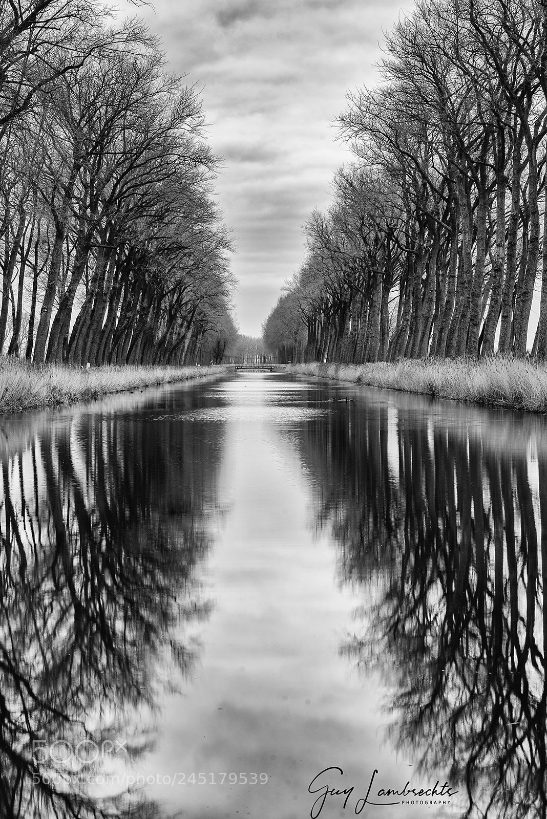 Nikon D610 sample photo. Double reflection photography