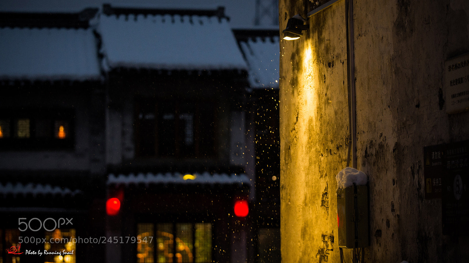 Canon EOS-1D X sample photo. Snow photography